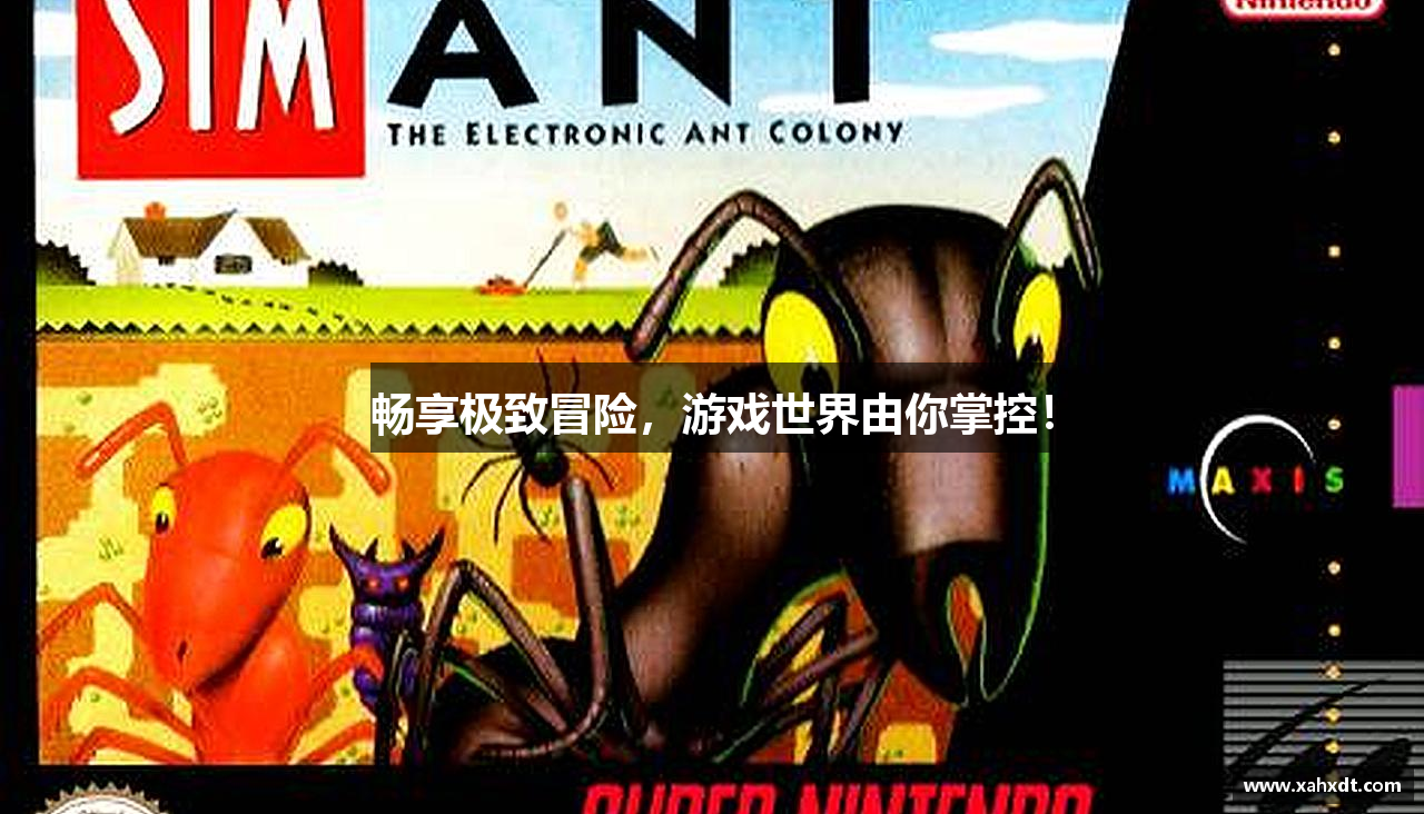 红龙德州app官网